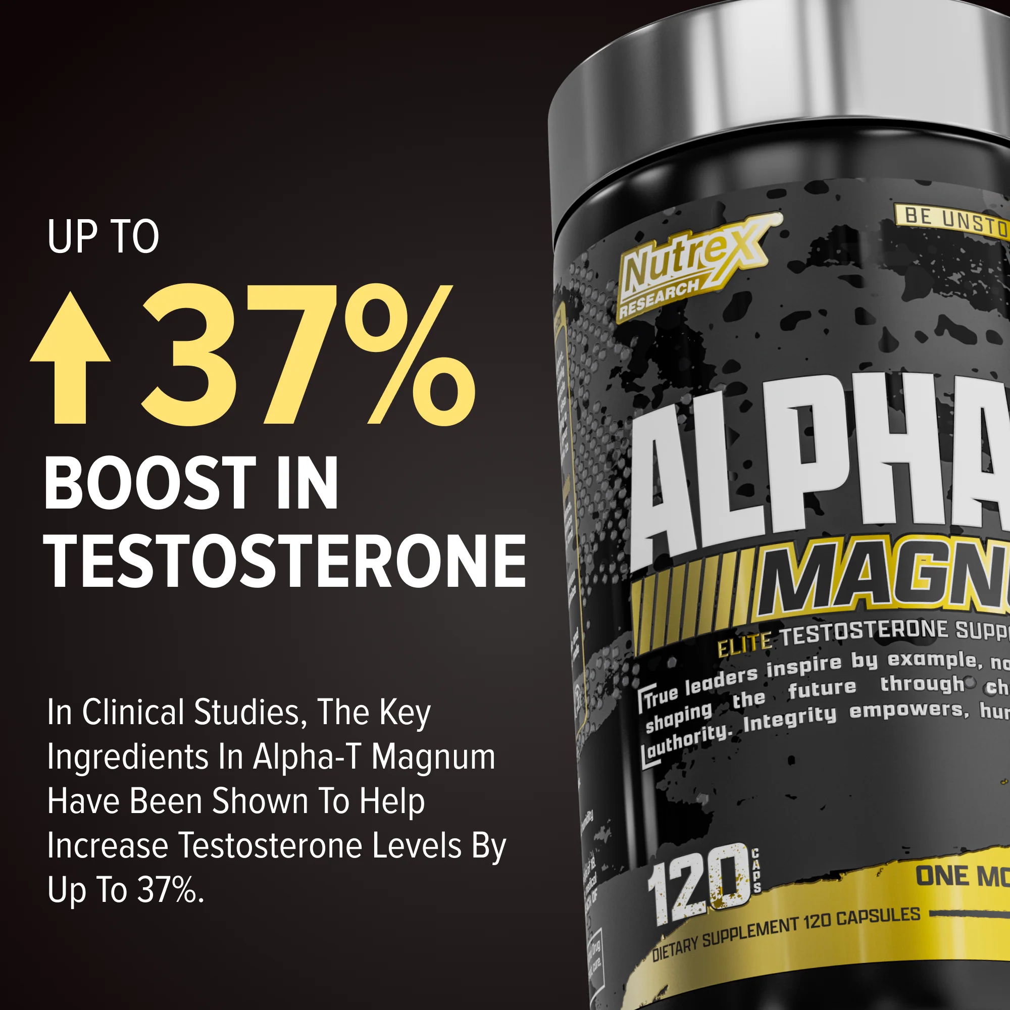 Alpha-T Magnum - Image 3