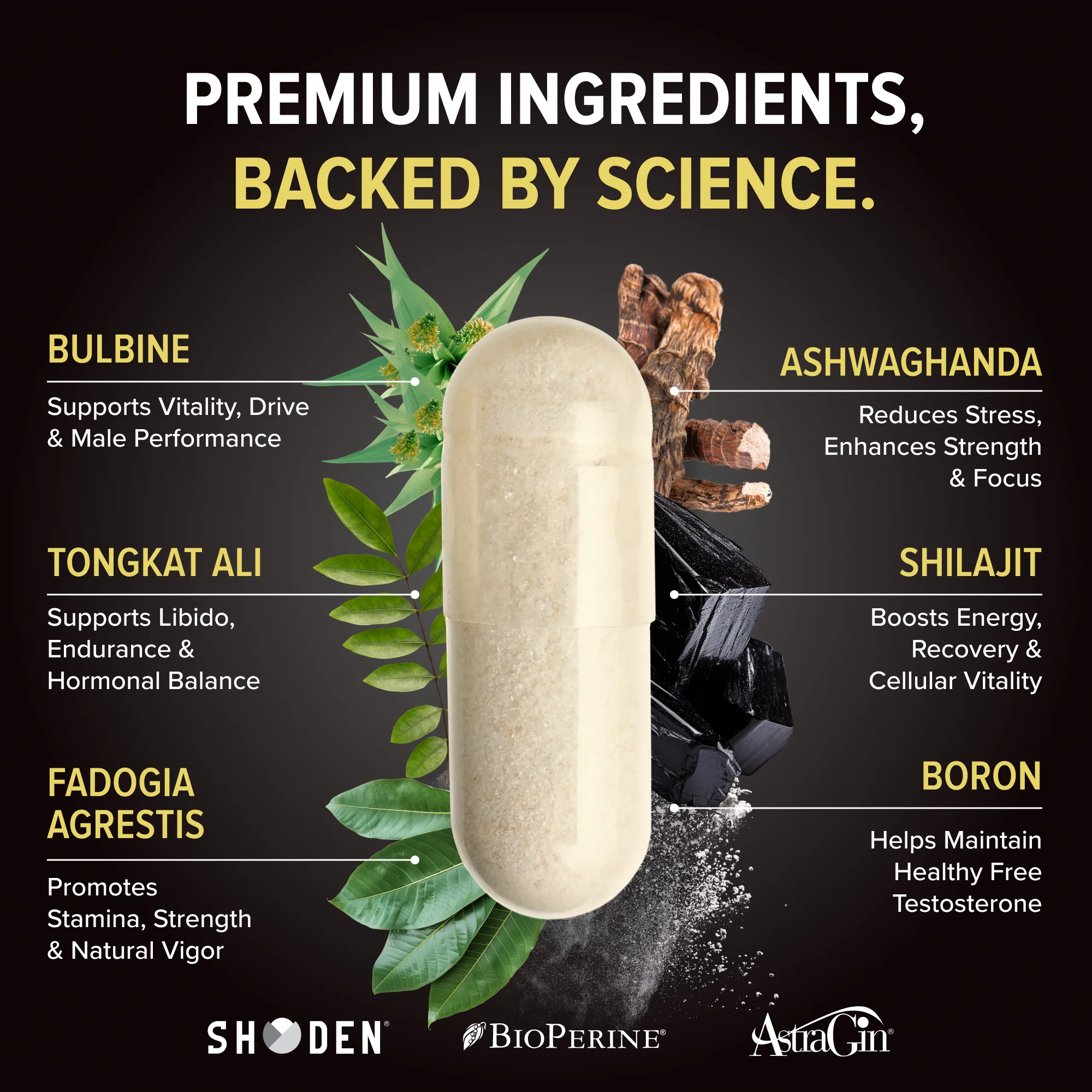 Alpha-T Magnum - Image 4